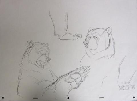 Brother Bear Model Drawing - ID:brother0701 Walt Disney
