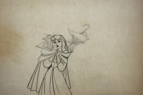 Sleeping Beauty Production Drawing - ID:marsleeping3572 Walt Disney