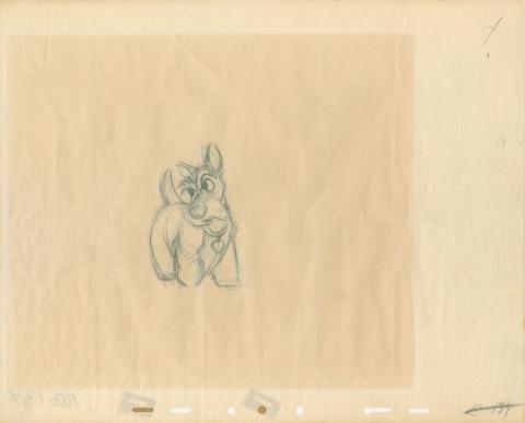 Lady and the Tramp Production Drawing - ID: maytramp19253 Walt Disney