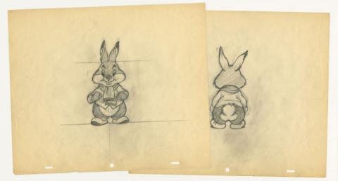 The Hungry Wolf 1942 MGM Model Drawings - ID: may22451 MGM