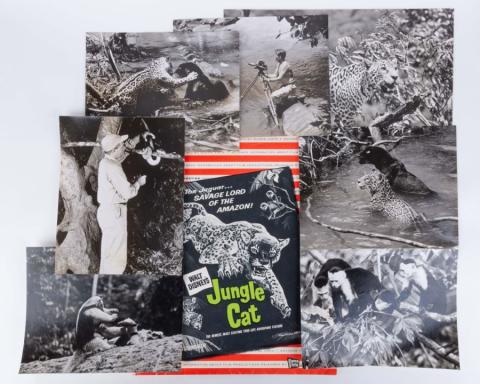 1959 Jungle Cat Theatrical Release Advance Information Press Kit  - ID: apr23294 Walt Disney
