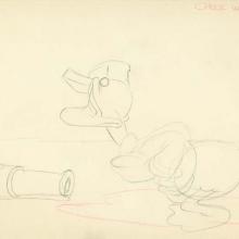Donald Duck Donald's Ostrich Layout Drawing - ID:vegalleries081 Walt Disney