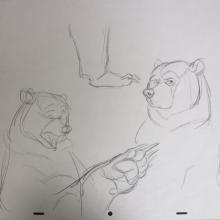Brother Bear Model Drawing - ID:brother0701 Walt Disney