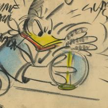 Donald Duck Storyboard Drawing - ID:decdonald5863 Walt Disney