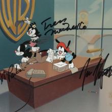 download animaniacs 1993 download animaniacs 1993
