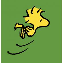 Peanuts Woodstock Green Limited Edition - ID:julypeanutswoodstockgreen Charles Schulz