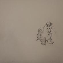 Lady and the Tramp Production Drawing - ID:marladytramp6369 Walt Disney