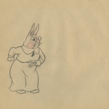 The Foolish Bunny Production Drawing - ID: febmgm9547 Columbia