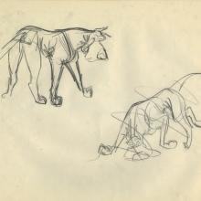 Oliver and Company Model Drawing - ID: octoliver17421 Walt Disney