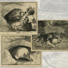 Set of 3 Bongo the Bear Storyboard Drawings - ID: janbongo19290 Walt Disney