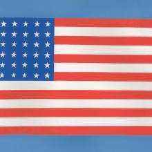 Mr. Limpet 48 Star American Flag Production Background-ID: junmrlimpet19065 Warner Bros.