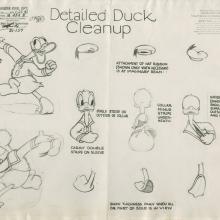 Donald Duck Photostat Model Sheet - ID: dismodel19025 Walt Disney