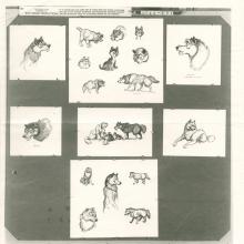 Jungle Book Photostat Model Sheet - ID: janmodel20056 Walt Disney