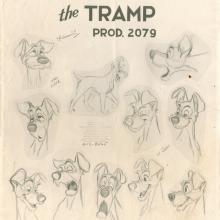 Lady and the Tramp Photostat Model Sheet - ID: janmodel20201 Walt Disney