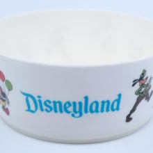 Disneyland Souvenir Plastic Bowl - ID: aprdisneyland21374 Disneyana