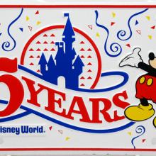 Walt Disney World 15 Years Novelty License Plate - ID: augdisneyana20183 Disneyana