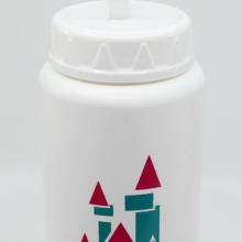 Disneyland 35 Years of Magic Water Bottle - ID: augdisneyana20197 Disneyana