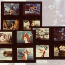 Collection of (3) Fox and the Hound 8x10 Promotional Photograph Test Proofs - ID: aug22103 Walt Disney