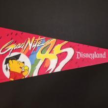 Disneyland Grad Nite 1985 Pennant - ID: augdisneyana21198 Disneyana