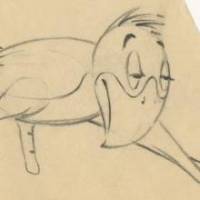 Inki and the Minah Bird Production Drawing - ID: decinki21050 Warner Bros.