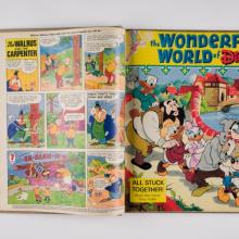 Wonderful World of Disney Magazine No.1-19 Compilation Hardcover (1968-1976) - ID: mar23036 Disneyana