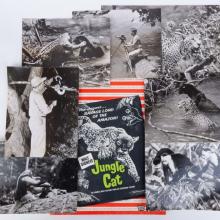 1959 Jungle Cat Theatrical Release Advance Information Press Kit  - ID: apr23294 Walt Disney