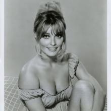 Sharon Tate Don't Make Waves 8x10 Theatrical Release Promotional Photograph - ID: aug22122 Pop Culture