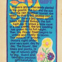 Mary Poppins "Poppin Flower" Seed Packet (1973) - ID: augdisneyana20126 Disneyana
