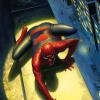 The Spectacular Spider-Man Signed Giclee on Canvas Print - ID: aprrossAR0167C Alex Ross