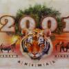 2001 Animal Kingdom Vanity License Plate - ID: augdisneyana20161 Disneyana