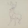 Bambi Great Prince Production Drawing - ID: aprbambi20221 Walt Disney