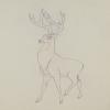 Bambi Great Prince Production Drawing - ID: aprbambi20224 Walt Disney