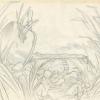 The Secret of Nimh Background Brisby Home Layout Drawing - ID: febnimh22005 Don Bluth
