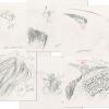 Collection of 6 What-A-Mess Lawnmower Bumper Sequence Layout Drawings  (1995) - ID: feb24110 DiC